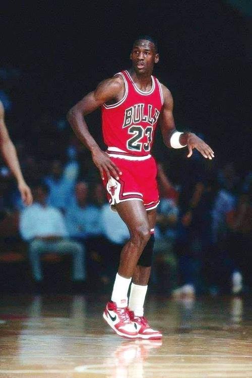 的坐标系 的坐标系